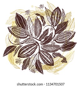 Cacao beans plant, Vector exotic cacao plants