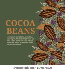 Cacao beans plant, Vector exotic cacao plants