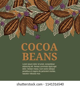 Cacao beans plant, Vector exotic cacao plants