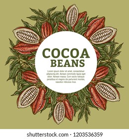 Cacao beans plant, Vector exotic cacao plants