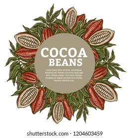 Cacao beans plant, Vector exotic cacao plants