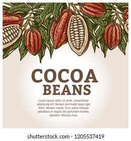 Cacao beans plant, Vector exotic cacao plants