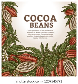 Cacao beans plant, Vector exotic cacao plants