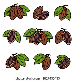 Se ponen granos de cacao. Iconos de la colección de granos de cacao. Vector