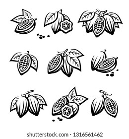 Cacao beans set. Vector