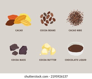 cacao to chocolate process illustraion