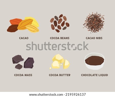 cacao to chocolate process illustraion
