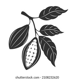 Cacao - cocoa beans beans on white background. Vector illustration