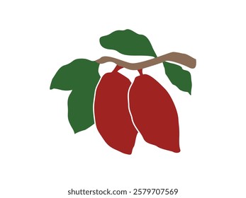 Cacao design vector illustration on transparent background
