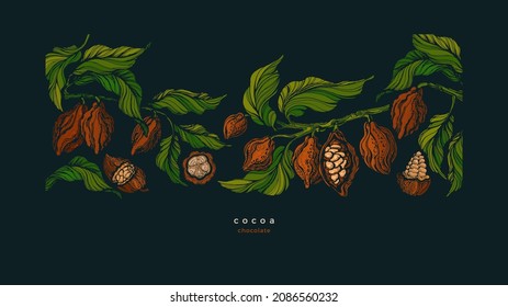 Fondo exótico de Cacao. chocolate orgánico oscuro. Árbol vectorial, fruta tropical, frijol aroma por la noche. Plantilla decorativa de color para café, tienda de dulces