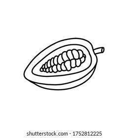 cacao fruit and beans doodle icon, vector illustration