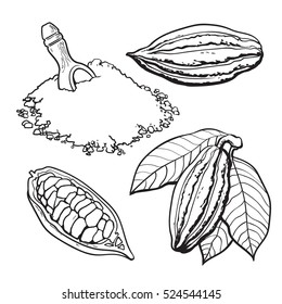 Cacao fruit, beans and powder, set of style vector illustrations isolated on white background.