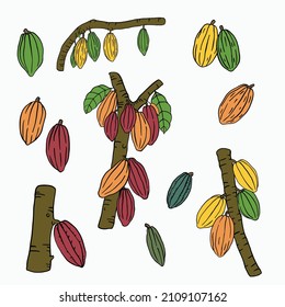 Kakaofruchtdoodle auf weißem Hintergrund. Vektorgrafik.