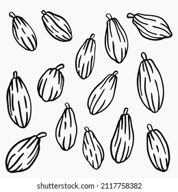 doodle de frutas de cacao dibujando sobre fondo blanco. ilustración vectorial.