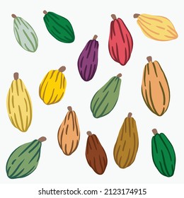 cacao fruit doodle drawing on white background. vector illustration.