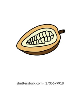 cacao fruit doodle icon, vector illustration