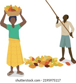 cacao fruit and farmers illustration