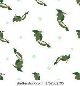 Cacao Fruit Pattern Design Graphic suitable for your design needs: logos, illustrations, animations, t-shirt designs, etc.