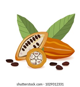 Cacao fruit, raw cacao beans with leaves, Cocoa pod on white background