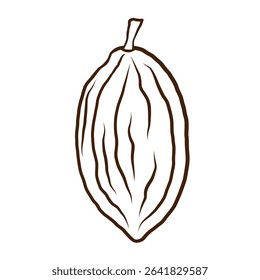 Cacao fruit sketch. Hand drawn ink line art cacao bean plant on isolated background. Design for card, logo, label, print, paper, template. Food, chocolate, spa ingredient. Vector illustration close-up
