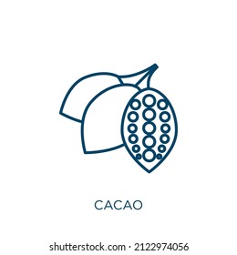 cacao icon. Thin linear cacao outline icon isolated on white background. Line vector cacao sign, symbol for web and mobile