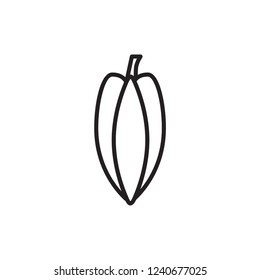 cacao icon vector. bean icon