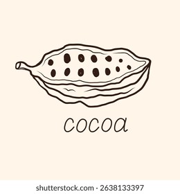 Cacao logo in sketch style, ink doodle. Hand drawn card label with cacao beans, plant for text. Design for print, paper, template, wrapping. Food and spa ingredient, Chocolate, organic oil. Vector