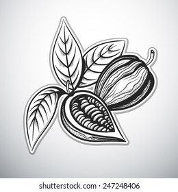 cacao outline vector illustration
