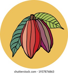 Cacao pod freehand drawing on colorful background. Vector illustration.