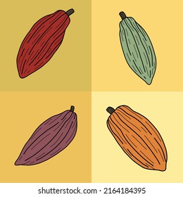 Cacao pods which is raw ingredient for chocolate freehand drawing. Vector illustration.