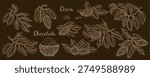 Cacao powder and cocoa fruit branch set in sketch style. Ink engraving cocoa pods, plants and branches on dark brown backdrop. For chocolate food background, cacao powder packaging.
