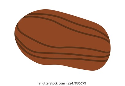Cacao seeds flat icon Oval pods Plants cultivation. Vector illustration