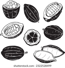 cacao with cacao slices vector illustration of black and white cacao set