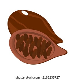 cacao superfood icon isolated vector