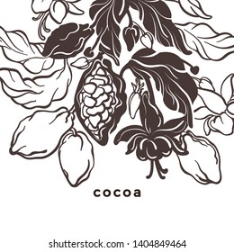 Cacao template. Natural chocolate. Vector nature card. Art hand drawn botanical tree, bean, tropical fruit, leaves. Organic sweet food, graphic sketch Hand drawn template Cocoa package