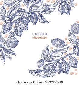 Cacao texture plant. Vector graphic bean, branch. Art hand drawn botanical illustration on white background. Organic chocolate, aroma drink, natural food. Vintage engraved sketch