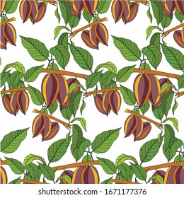 Cacao tree colorful seamless pattern on white art design stock vector illustration for web, for print, product design, cover
