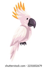 Cacatua white parrot bird with yellow head animal vector illustration flat adorable