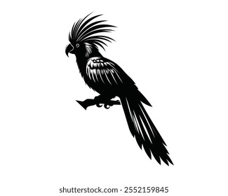 cacatus vector art image illustration