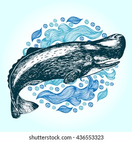 Cachalot, sperm whale. Hand drawn vector illustration. Drawn in ink.