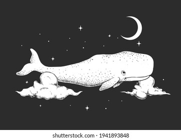 cachalot swims in the night sky .Vector illustration