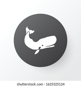 Cachalote icon symbol. Premium quality isolated whale element in trendy style.