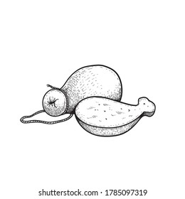 Caciocavallo cheese. Hand drawn sketch style drawing of traditional Italian melted and smoked cheese.Vector illustration isolated on white.