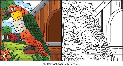 Ilustración en color de la página del pájaro cacique