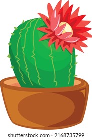 Cactaceae vector art and illustration