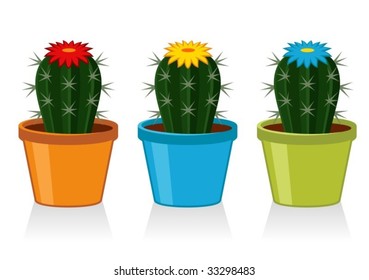 cacti