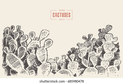 Cacti background, hand drawn vector illustration, sketch