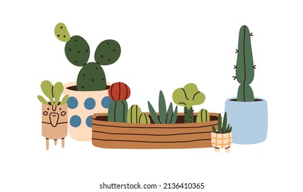 Cacti, barbed home plants growing in pots. Tropical cactus with prickles. Houseplants with thorns in planters, flowerpots. Prickly room decor. Flat vector illustration isolated on white background