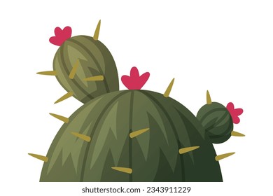 Cacti or Cactus Plant as Succulent Flora Vector Illustration