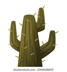 Cacti or Cactus Plant as Succulent Flora Vector Illustration